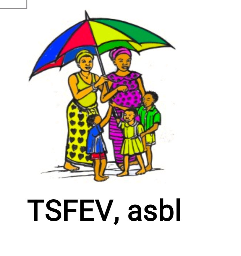 TSFEV – nos activités